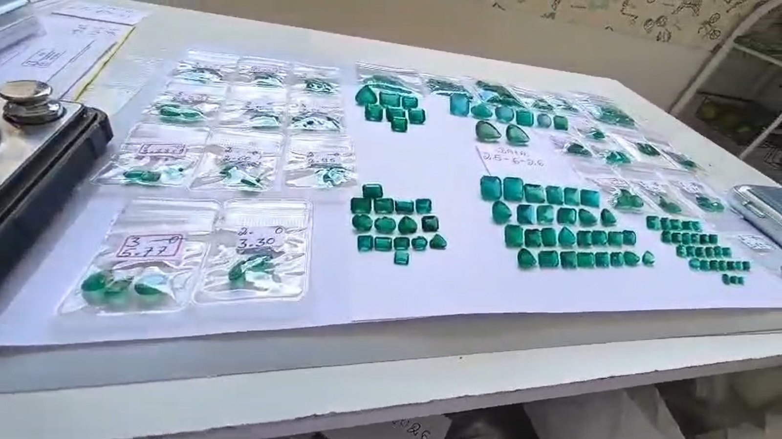 Gemstones organized and identified during a technical process